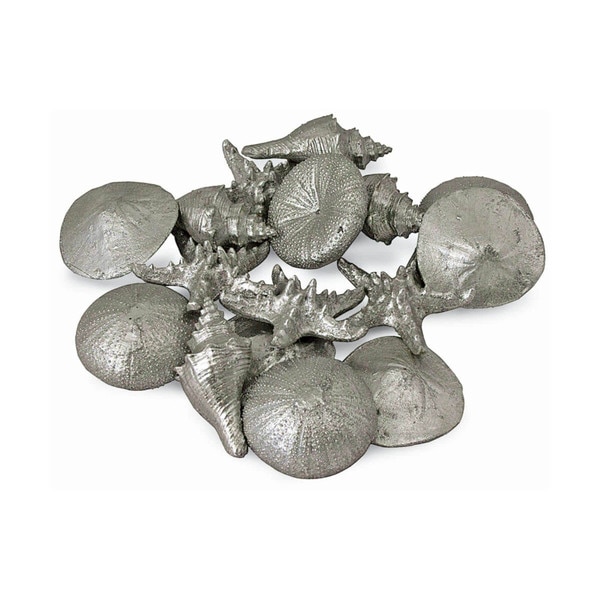 Assorted Mini Seashells Set of 12